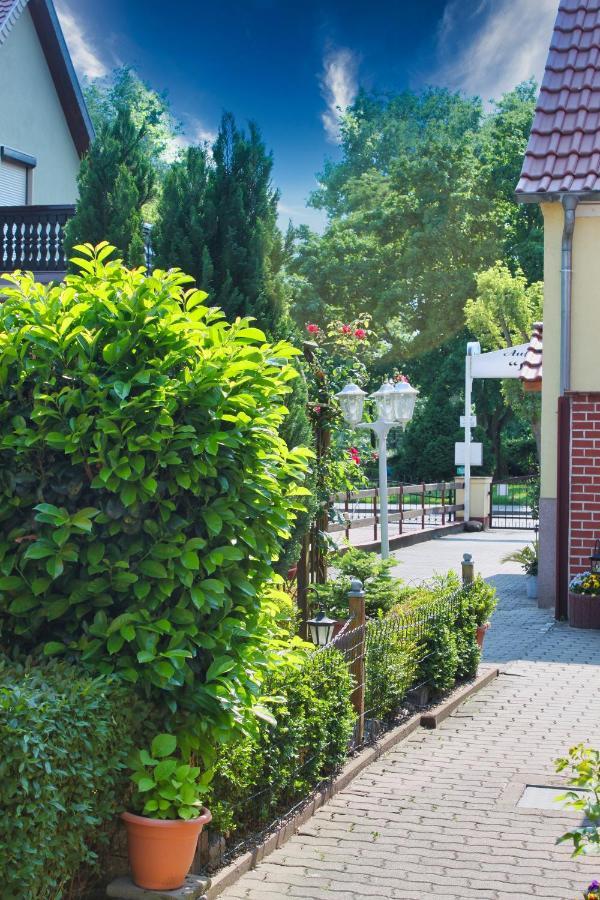 Pension Luisenhof Tangermuende Luaran gambar